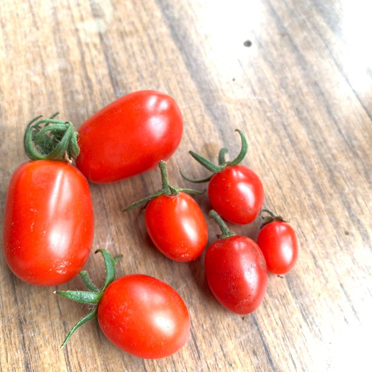 instagramから ｜150年ブログ｜北海道150年ファーム