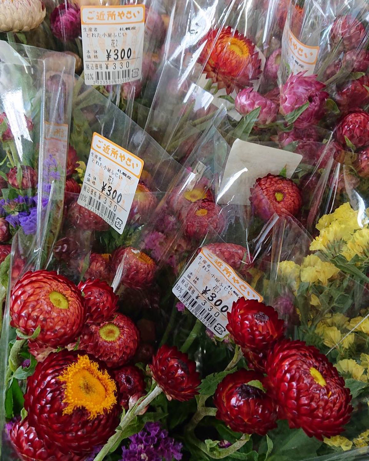 instagramから ｜150年ブログ｜北海道150年ファーム