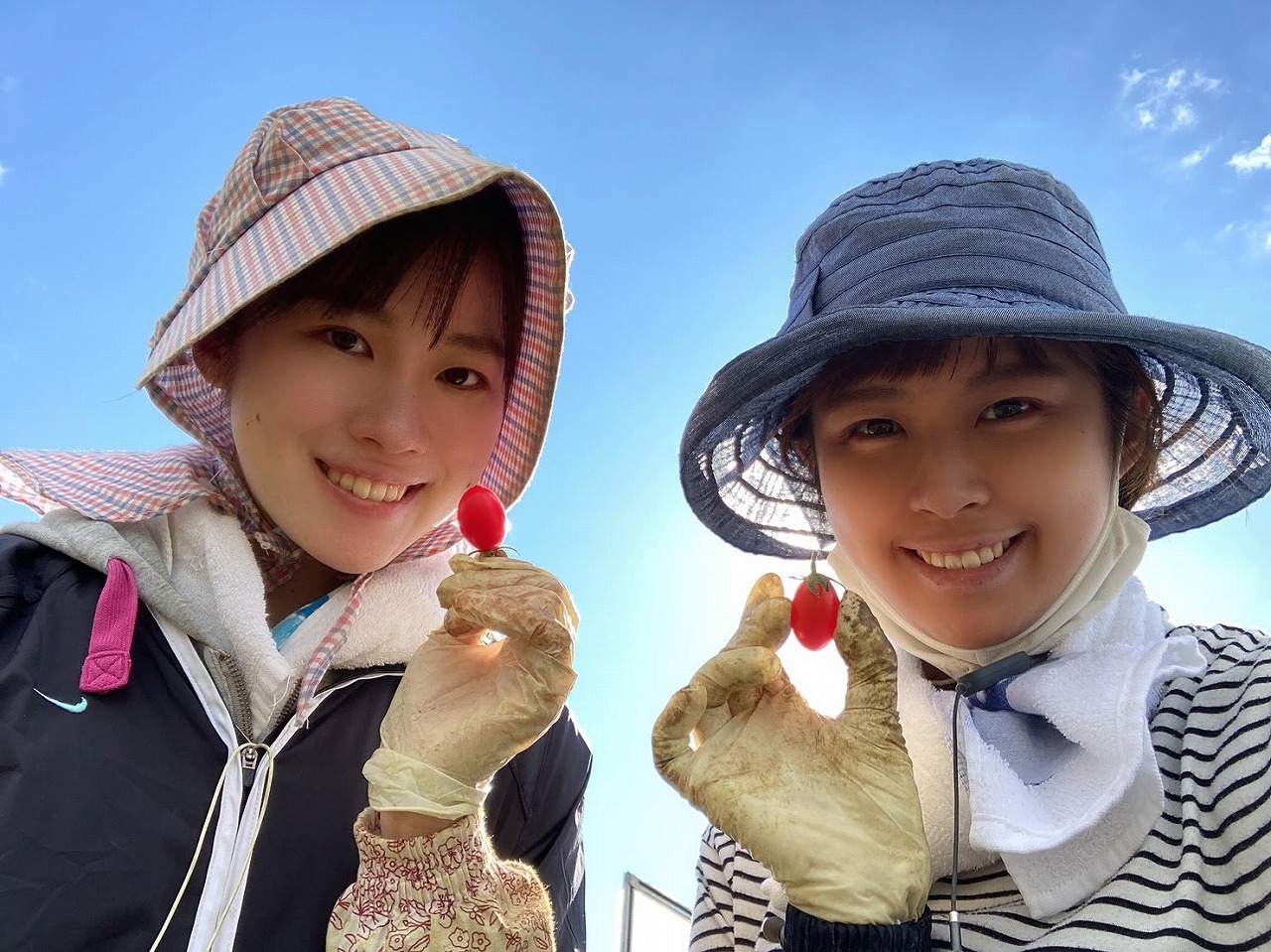 北海道農政事務所のホームページに農業研修が取り上げられました。